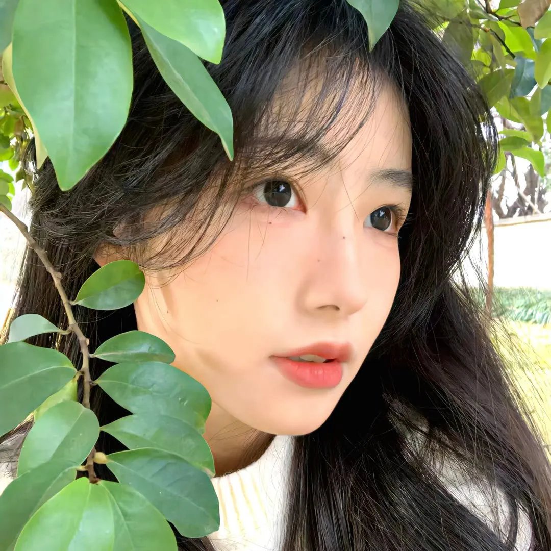 杨光的夏天
